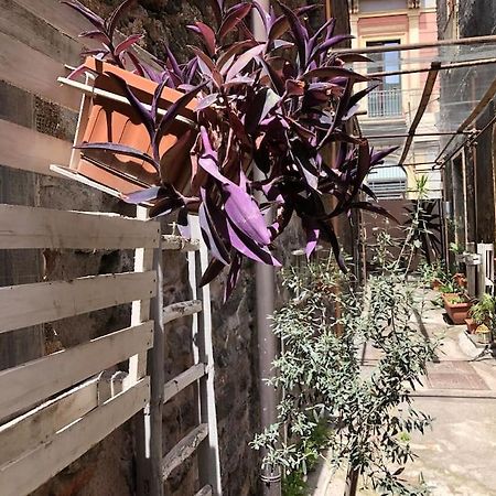 Suite Vicolo Lavico Catania Luaran gambar